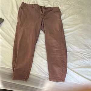Levi's Men's Taupe Chino Pants